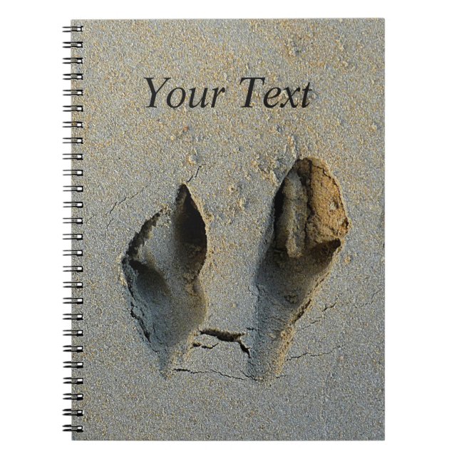Carnet Empreintes Wallaby en sable (Devant)