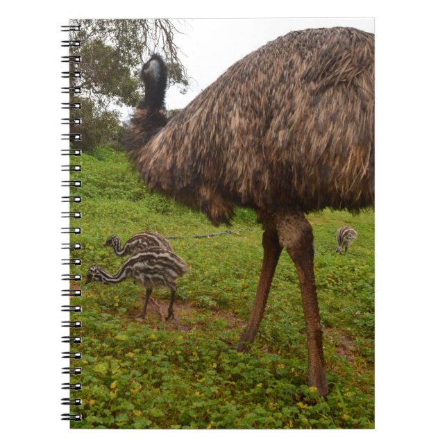 Carnet Emu Daddy Avec Des Poussins, (Devant)