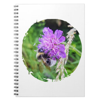 Carnet En pleine floraison