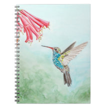 Carnet en spirale de colibri