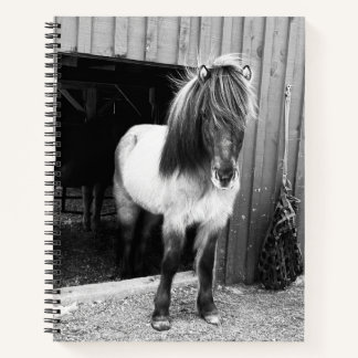 Carnet en spirale du cheval islandais