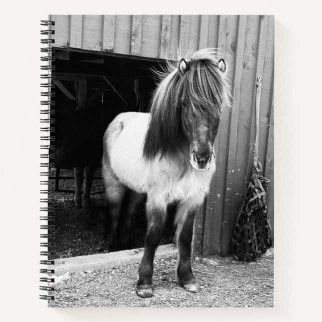 Carnet en spirale du cheval islandais (Devant)