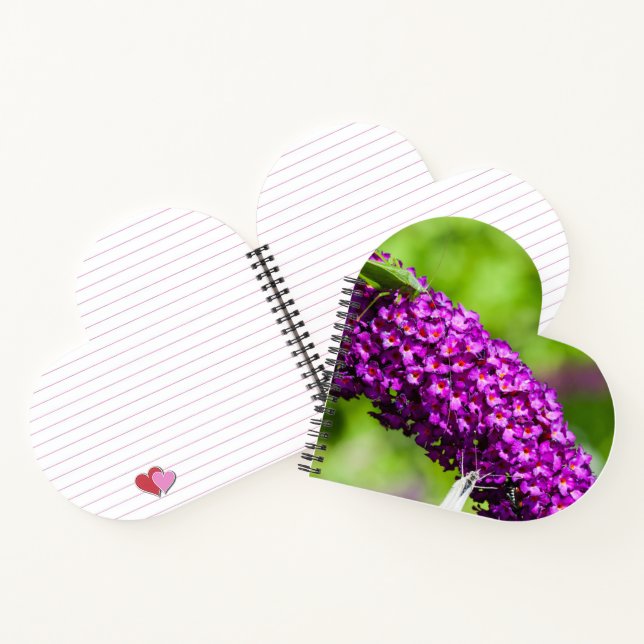 Carnet énergie katydone (Intérieur)