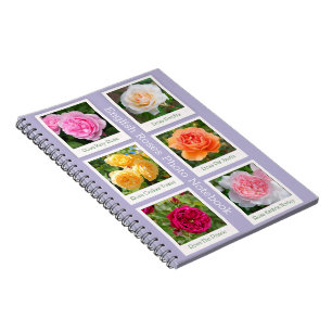 Carnet English Roses Photo Notebook