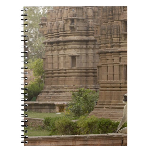 Carnet Entelles de Hanuman ou Langurs gris, communs ou à  (Devant)