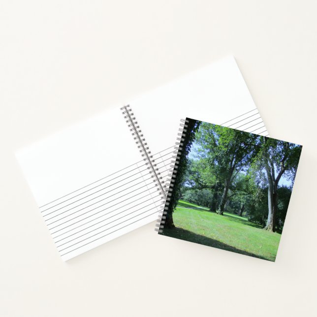 Carnet Entrant dans le Greenwood (Intérieur)