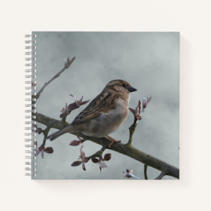 Carnet Épervier sur la photo de branche