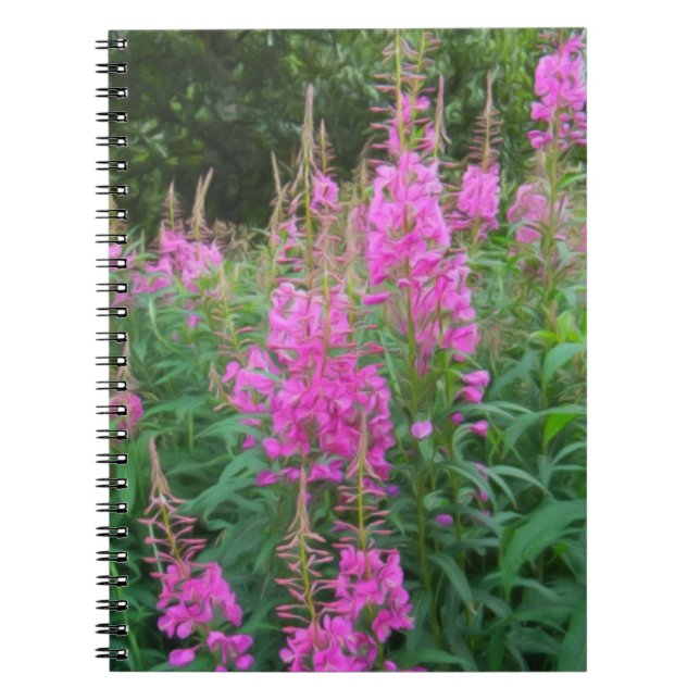 Carnet Épilobe en feuilles étroites (Devant)