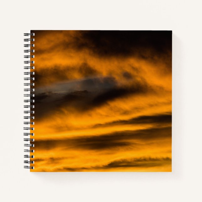 Carnet épuisement des aigles (Devant)