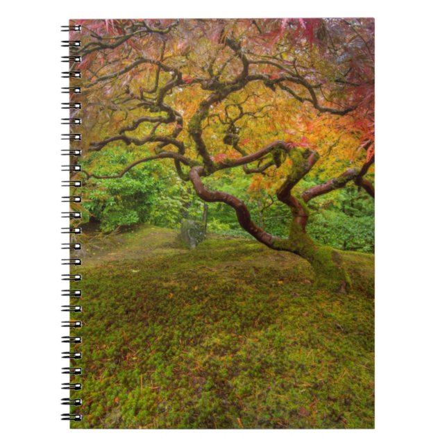 Carnet Érable japonais en couleur d'automne (Devant)