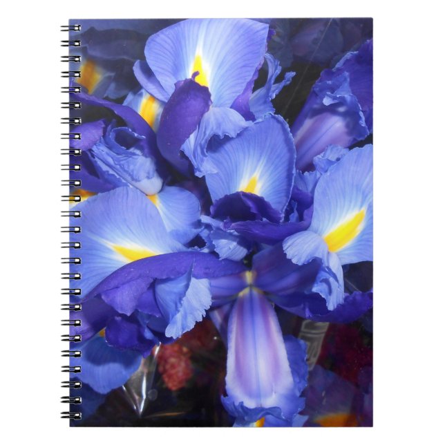 Carnet Ermengarde (Devant)