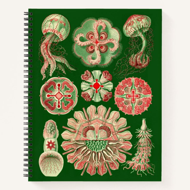 Carnet Ernst Haeckel Illustration de méduse Vintage (Devant)