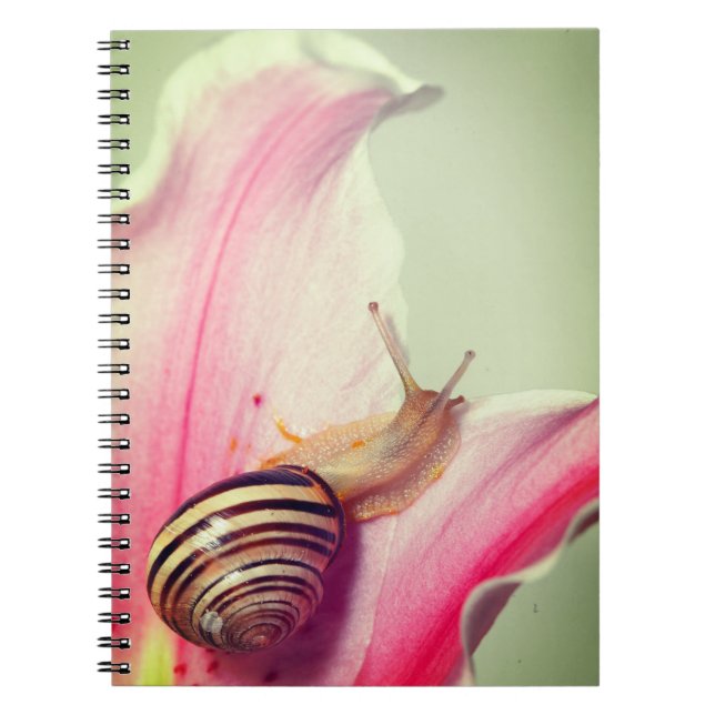 Carnet Escargot (Devant)