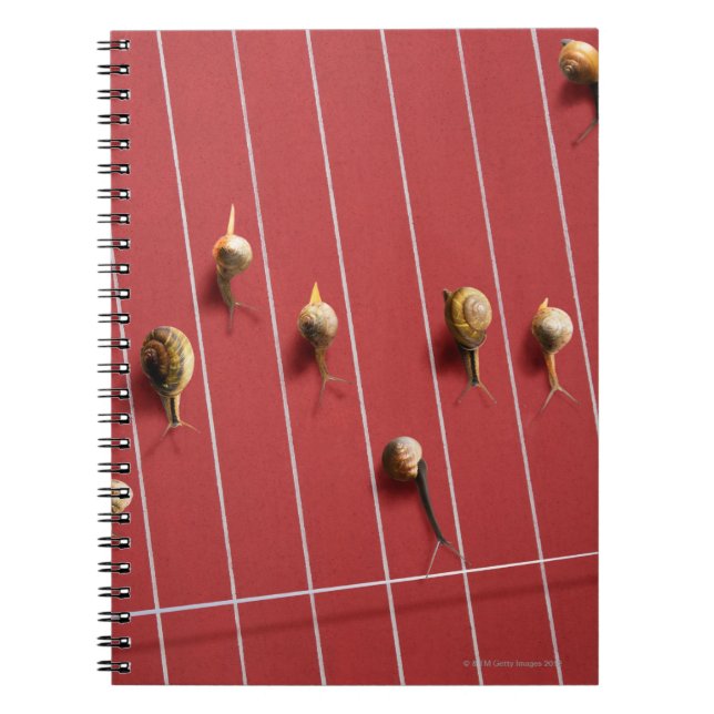 Carnet Escargots circulant sur le camion (Devant)