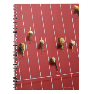 Carnet Escargots fonctionnant sur le camion
