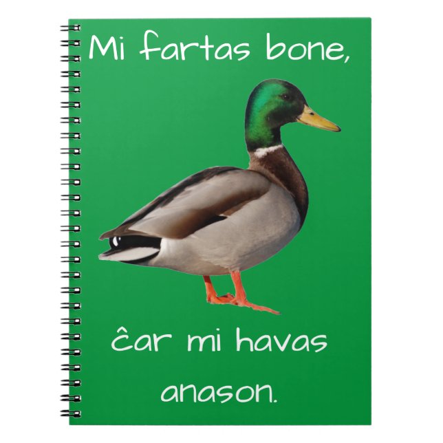 Carnet Espéranto : Os de fartas de MI, MI ĉar Havas (Devant)