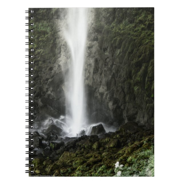 Carnet Esprit du bassin (Devant)