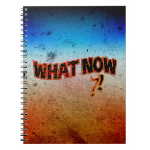 Carnet Et maintenant ? !