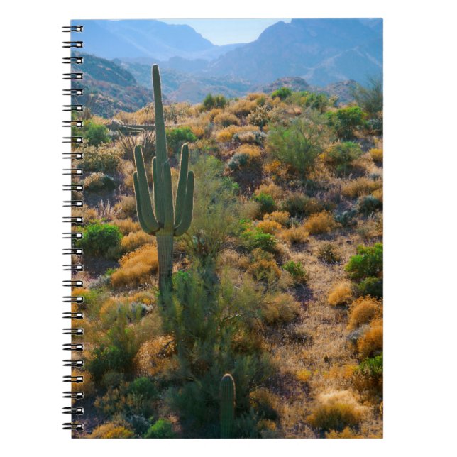 Carnet États-Unis, Arizona. Desert View (Devant)