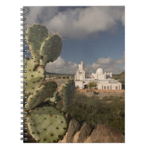 Carnet États-Unis, Arizona, Tucson : Mission San Xavier d