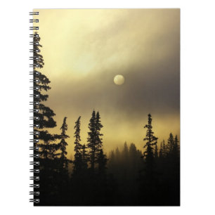 Carnet États-Unis, Colorado, forêt nationale de San Isabe