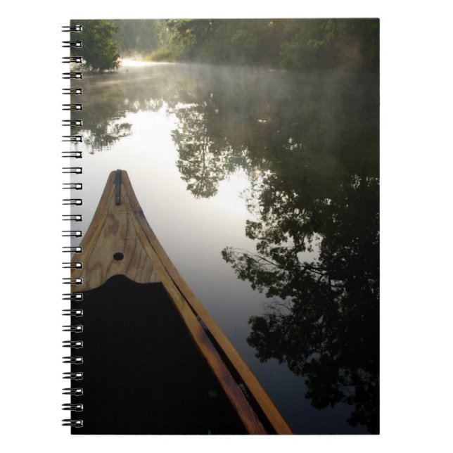 Carnet États-Unis, Floride, Forêt nationale d'Ocala, Alex (Devant)