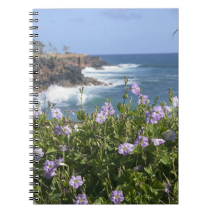 Carnet États-Unis, Hawaï, Kauai, près de Kapaa, nord-oues