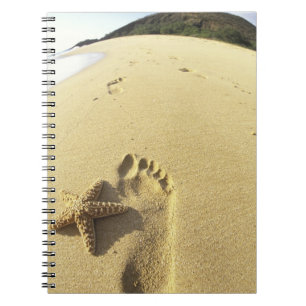 Carnet États-Unis, Hawaï, Maui, Makena Beach, Empreinte e