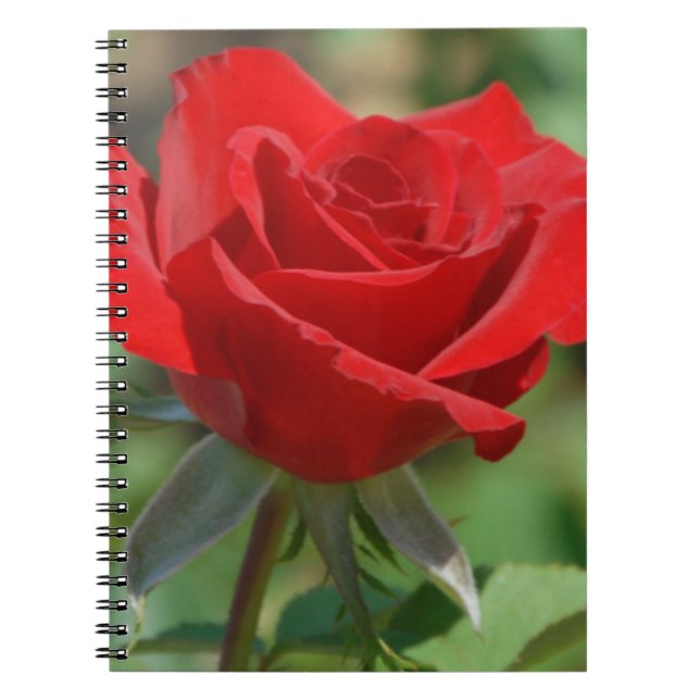 Carnet États-Unis, Kansas, Rose rouge (Devant)