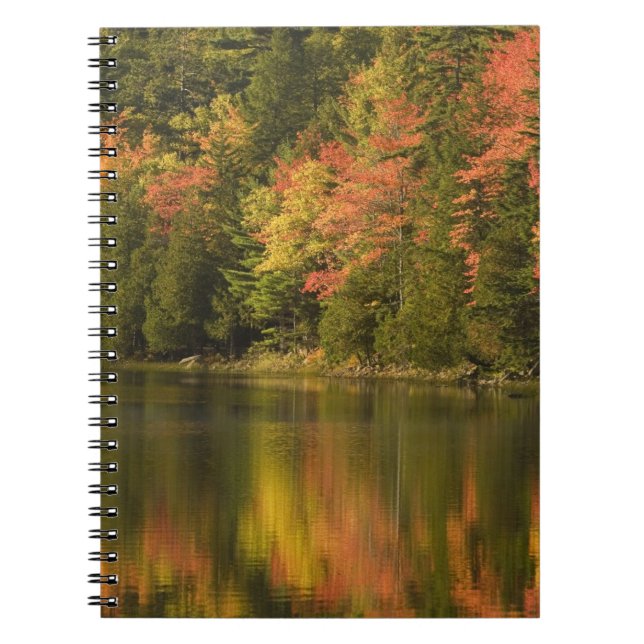 Carnet États-Unis; Maine; Parc national d'Acadia. Reflets (Devant)