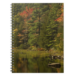 Carnet États-Unis; Maine; Parc national d'Acadia. Reflets