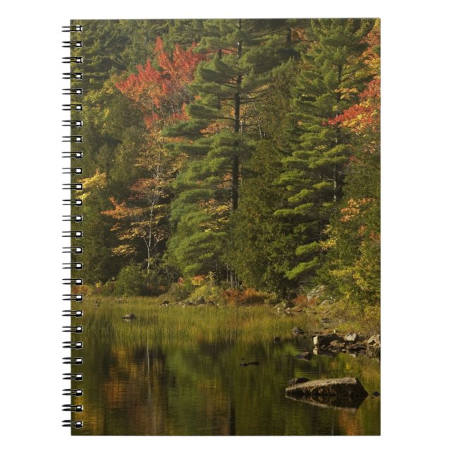 Carnet États-Unis; Maine; Parc national d'Acadia. Reflets (Devant)