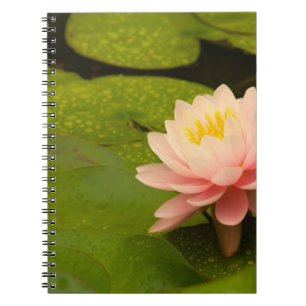 Carnet États-Unis, Maryland, Westminster, Union