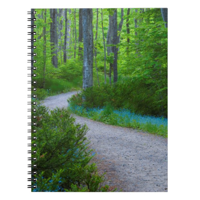 Carnet États-Unis, Michigan. Chemin à travers les bois (Devant)