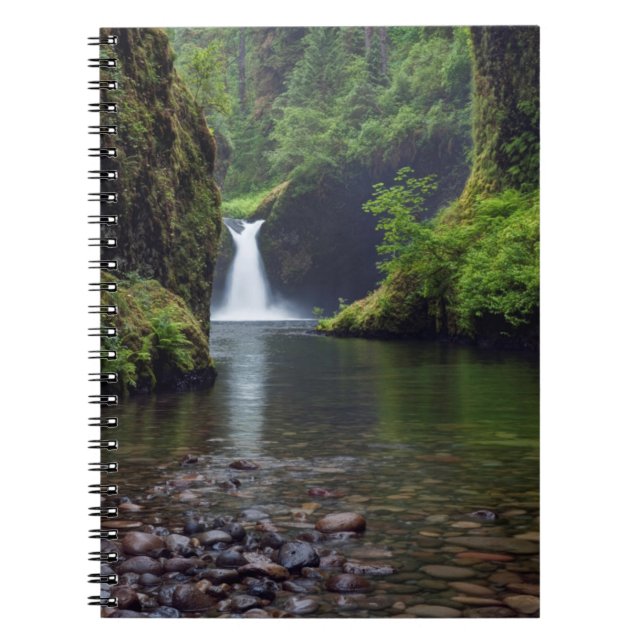 Carnet États-Unis, Oregon, Columbia River Gorge 5 (Devant)