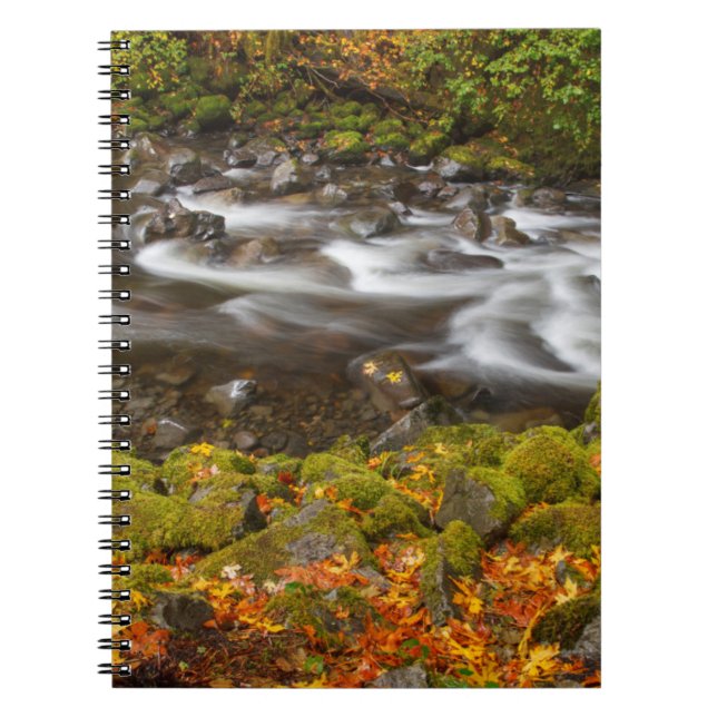 Carnet États-Unis, Oregon, Columbia River Gorge, Tanner C (Devant)