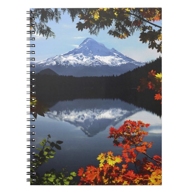 Carnet États-Unis, Oregon, Mt. Hood National Forest. (Devant)