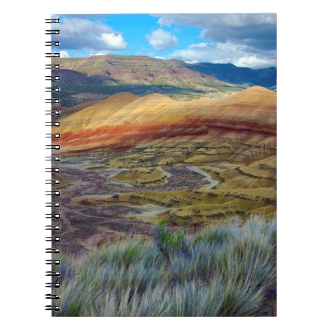 Carnet États-Unis, Oregon. Paysage des Painted Hills (Devant)