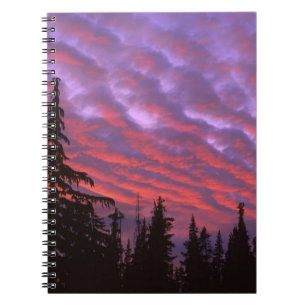Carnet États-Unis, Oregon, Three Sisters Wilderness, Vivi