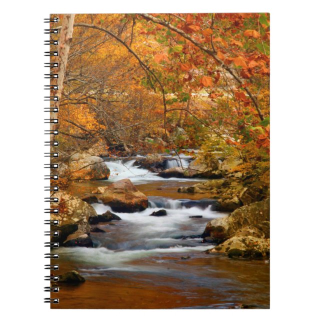 Carnet États-Unis, Tennessee. Rushing Mountain Creek (Devant)