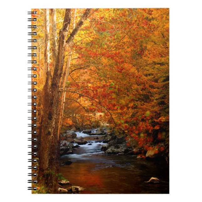 Carnet États-Unis, Tennessee. Rushing Mountain Creek 2 (Devant)