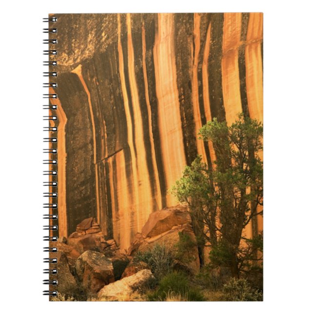 Carnet États-Unis, Utah, Parc national de Capitol Reef (Devant)