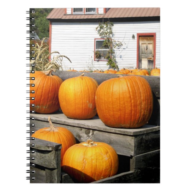 Carnet États-Unis, Vermont. Citrouilles (Devant)