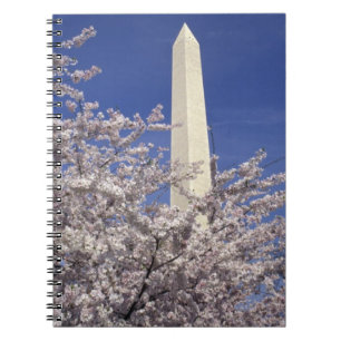 Carnet États-Unis, Washington DC. Festival des fleurs de