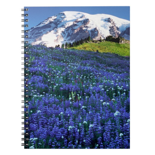 Carnet États-Unis, Washington, Parc national du mont Rain (Devant)