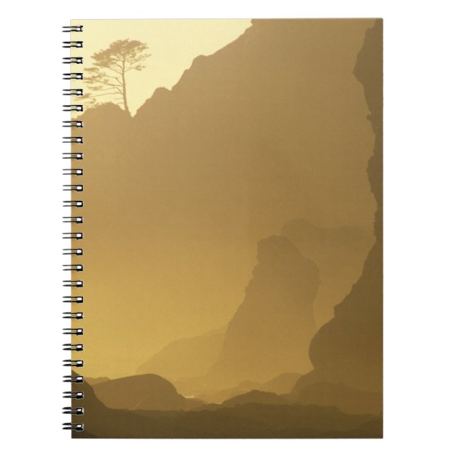 Carnet États-Unis, Washington, Parc national Olympique, C (Devant)