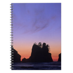 Carnet États-Unis, Washington, Parc national Olympique, S