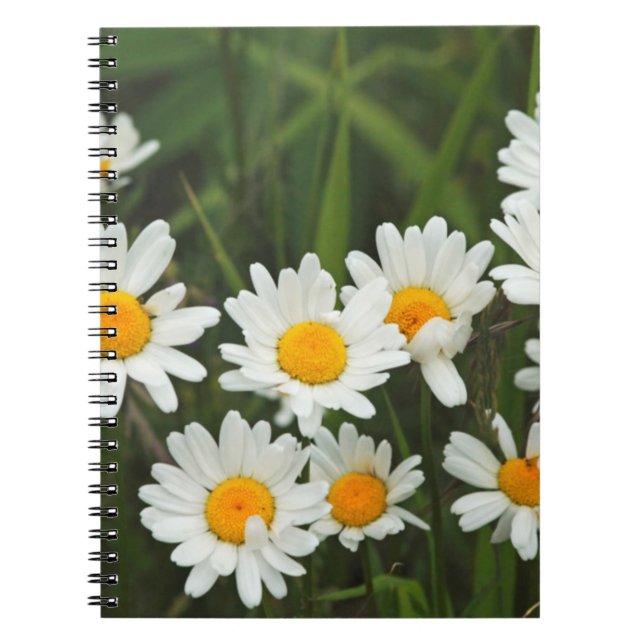 Carnet États-Unis, Washington, Seattle, Puget Sound 3 (Devant)