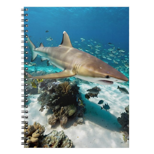Carnet Été plage océan bleu photo requin          (Devant)