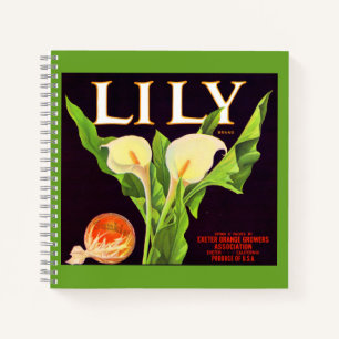Carnet Étiquette de caisse d'orange Lily des années 1930